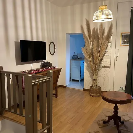 Terrasse Et Jardin Apartament *